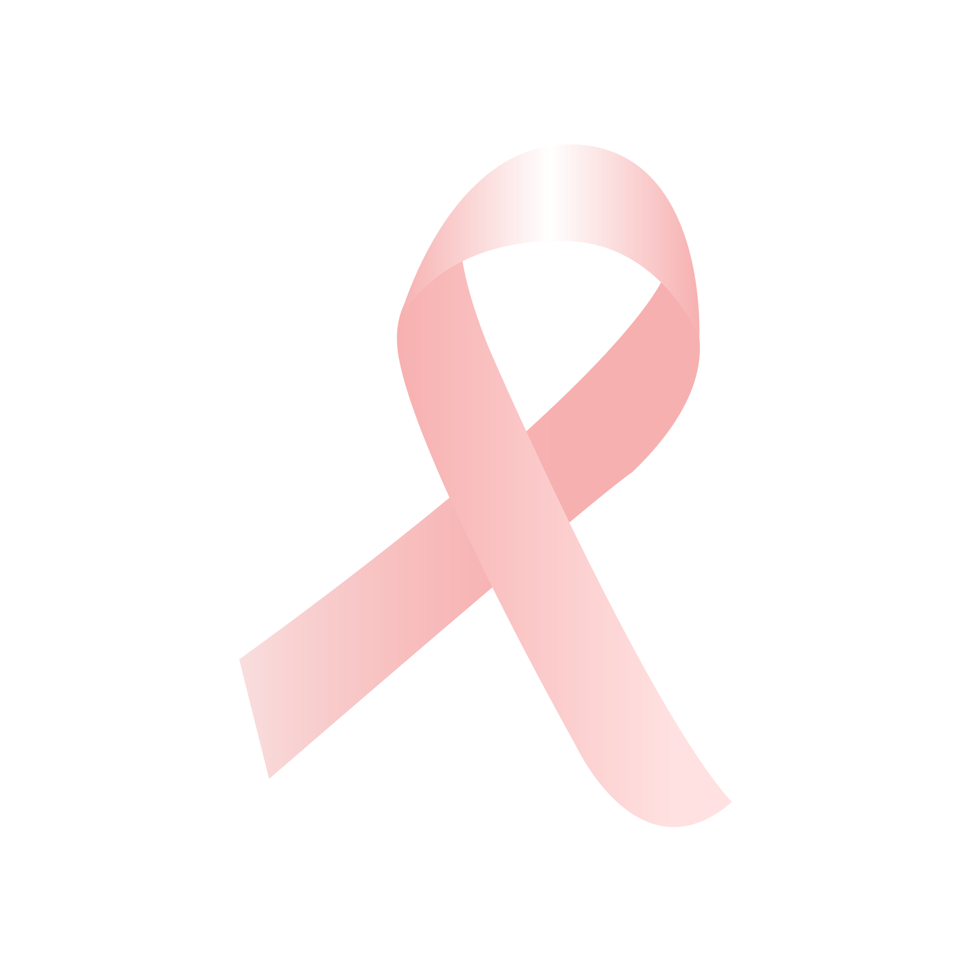 Logo Noirot Toiture